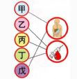 带你了解病毒性肝炎