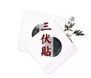 不能盲目跟风 三伏贴并非“万能贴”