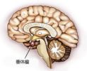 同样是垂体瘤，为什么有的需要手术治疗有的只是吃药观察？