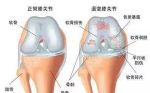 医生劝告：别让你的膝盖老得比你还早！用这几个方法调养你的膝盖
