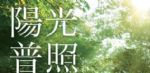 2020，沈阳楼市小阳春，会迟到，但不会缺席