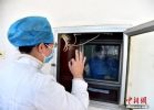 湖南出院病例连续三天大于新增病例 治愈率达35％