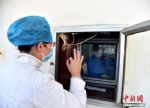 湖南出院病例连续三天大于新增病例 治愈率达35％