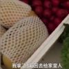 鄂州回应当地违规分配领取捐赠物资：2人被立案、免职，1人停职
