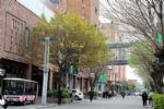 3月8日广州战疫日志：越秀调整为中风险，中大纺织商圈分批复市