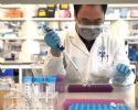 很多团队都在进行新冠疫苗研究，进程会不会更快？专家释疑