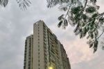 深圳涨价罪魁并非经营贷，官方严查棒打炒房苗头