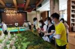 留汉新武汉人成购房主力，“拧包入住房”最受欢迎，5月武汉楼市加速回暖