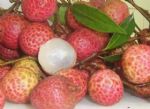 这样吃荔枝容易吃出“荔枝病”，这类人尤其要注意！
