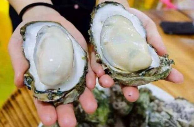 如何挑选生蚝?教你4个小技巧,知道后别再乱买了