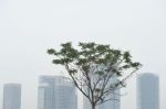 总投资超4千亿，广州国际金融城一大波项目来啦！这4大厦即将动工