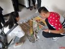 领地集团隐瞒业主进行维修，派工人打穿房屋楼板，屋内惊现3个大洞