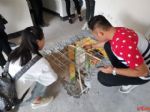 领地集团隐瞒业主进行维修，派工人打穿房屋楼板，屋内惊现3个大洞