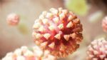 NEJM发表瑞德西韦全球试验最终结果，显示三项重要获益