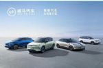 2021年12月汽车销量榜 11家新能源品牌全年销量出炉