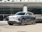 2022款红旗E-HS9上市 售价50.98-77.98万
