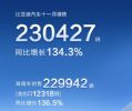 11月汽车销量排行榜 13家新能源车企销量汇总