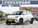 2024年1-6月轿车销量排行榜 海鸥夺上半年冠军
