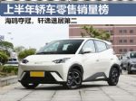 2024年1-6月轿车销量排行榜 海鸥夺上半年冠军