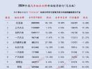 2024全年汽车销量榜 乘用车细分品牌终端销量排名