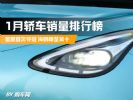 1月轿车销量榜完整版！星愿夺冠，比亚迪跌出前九