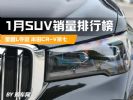1月SUV零售销量榜完整版，比亚迪未进前十