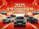 2025全年SUV销量榜 特斯拉夺冠 比亚迪无缘前五